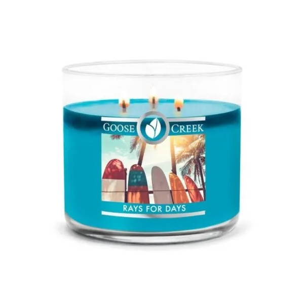 Rays for Days 3-Wick-Candle 411g
