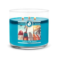 Rays for Days 3-Wick-Candle 411g