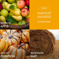 Harvest Hayride 3-Wick-Candle 411g