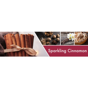 Sparkling Cinnamon 1-Docht-Kerze 198g