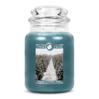 Snow Covered Trees 2-Wick-Candle 680g