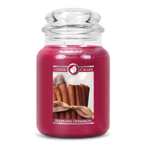 Sparkling Cinnamon 2-Wick-Candle 680g