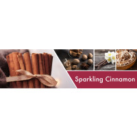 Sparkling Cinnamon 2-Docht-Kerze 680g