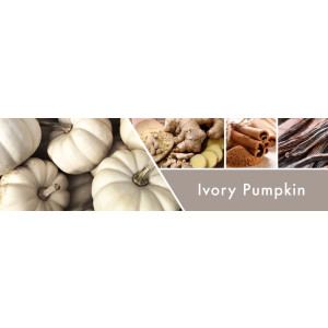 Ivory Pumpkin Waxmelt 59g