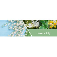 Lovely Lily flüssige Foaming Soap 270ml