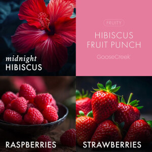 Hibiscus Fruit Punch Foaming Soap 270ml