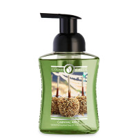 Carnival Apple flüssige Schaum-Handseife 270ml