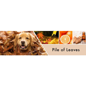 Pile of Leaves Foaming Soap 270ml