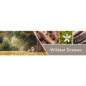 Wildest Dreams flüssige Schaum-Handseife 270ml