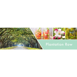 Plantation Row 2-Docht-Kerze 680g