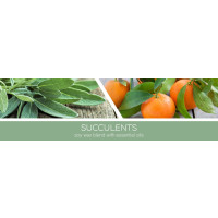 Succulents 1-Docht-Kerze 198g