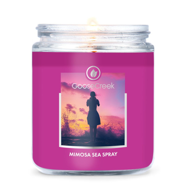 Mimosa Sea Spray 1-Wick-Candle 198g