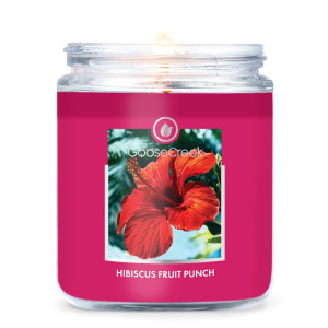 Hibiscus Fruit Punch 1-Docht-Kerze 198g