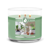 Succulents 3-Docht-Kerze 411g