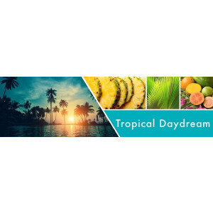 Tropical Daydream 3-Docht-Kerze 411g