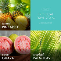 Tropical Daydream 3-Docht-Kerze 411g