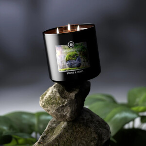 Stone & Moss 3-Docht-Kerze 411g