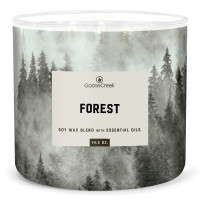 Forest - Mens Collection 3-Docht-Kerze 411g
