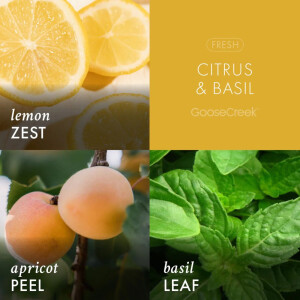 Citrus &amp; Basil - Energize 3-Wick-Candle 411g