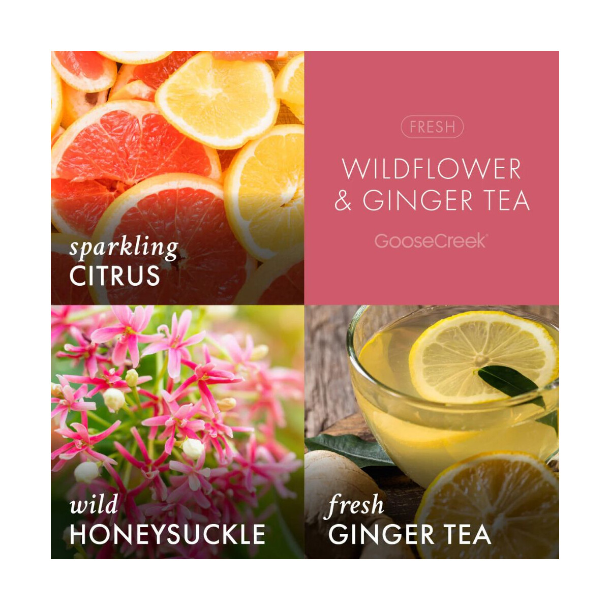 Wildflower Ginger Tea Cleanse 3DochtKerze 411g, 24,95