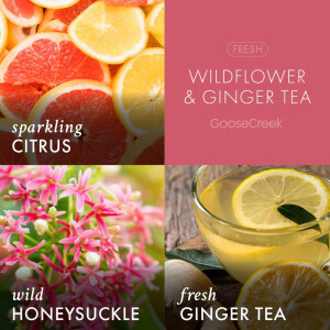 Wildflower Ginger Tea - Cleanse 3-Docht-Kerze 411g