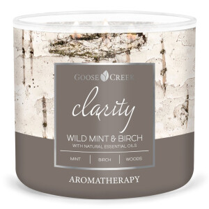 Wild Mint &amp; Birch - Clarity 3-Docht-Kerze 411g