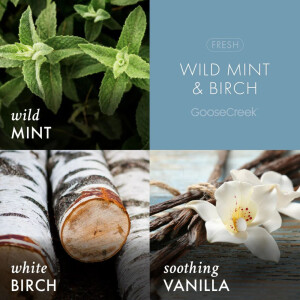 Wild Mint &amp; Birch - Clarity 3-Wick-Candle 411g