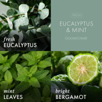 Eucalyptus & Mint - Soothe 3-Wick-Candle 411g