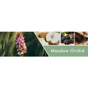 Meadow Orchid 3-Docht-Kerze 411g