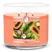 Papaya Paradise 3-Docht-Kerze 411g