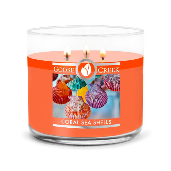 Coral Sea Shells 3-Docht-Kerze 411g