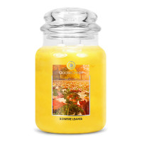 Bonfire Leaves 2-Wick-Candle 680g