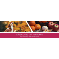 Dreaming of Autumn 3-Docht-Kerze 411g