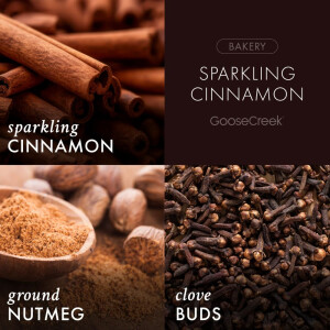 Sparkling Cinnamon 3-Docht-Kerze 411g
