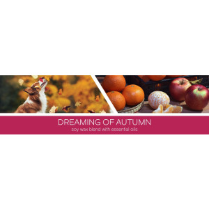 Dreaming of Autumn Wachsmelt 59g