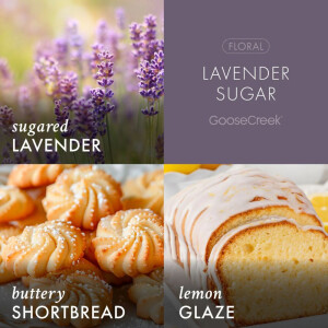 Lavender Sugar 3-Docht-Kerze 411g
