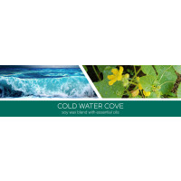 Cold Water Cove 3-Docht-Kerze 411g