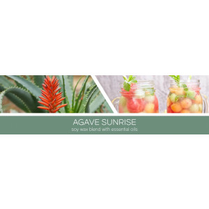 Agave Sunrise 3-Docht-Kerze 411g