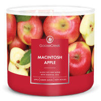 Macintosh Apple 3-Docht-Kerze 411g