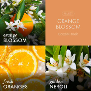 Orange Blossom 3-Wick-Candle 411g