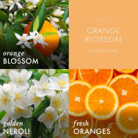 Orange Blossom 3-Docht-Kerze 411g