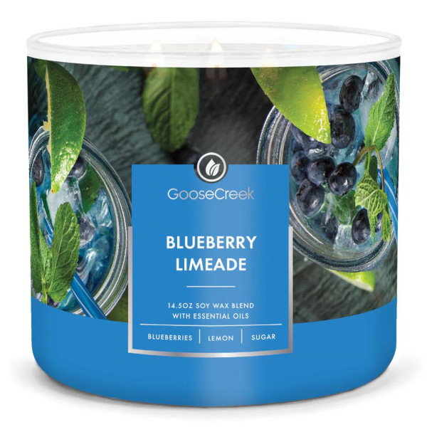 Blueberry Limeade 3-Wick-Candle 411g