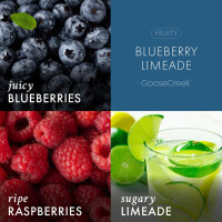 Blueberry Limeade 3-Docht-Kerze 411g