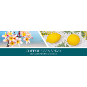 Cliffside Sea Spray 1-Docht-Kerze 198g