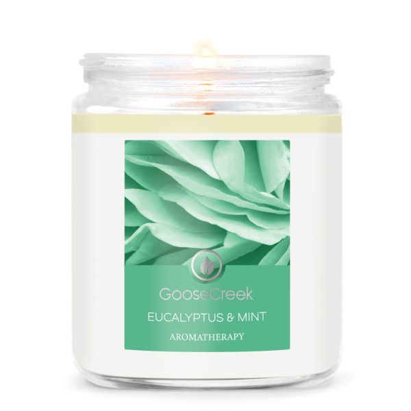 Eucalyptus & Mint 1-Docht-Kerze 198g