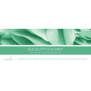 Eucalyptus & Mint 1-Wick-Candle 198g