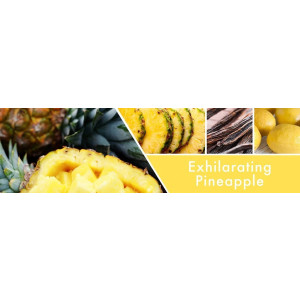 Exhilarating Pineapple 3-Docht-Kerze 411g