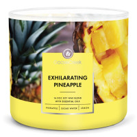 Exhilarating Pineapple 3-Docht-Kerze 411g