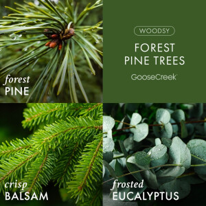 Forest Pine Trees 3-Wick-Candle 411g