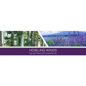 Howling Winds - Halloween Collection 3-Docht-Kerze 411g